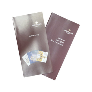 Patek Phillipe Twenty-4 4910/10A-011 Stainless Steel 25mm