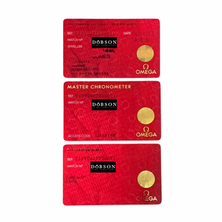 Omega Seamaster Diver 300m 007/No Time To Die 210.90.42.20.01.001 42mm Titanium